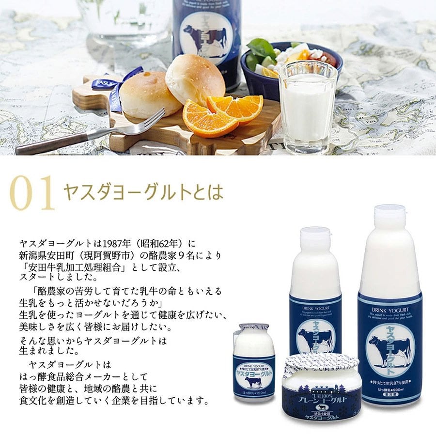 ヤスダヨーグルト ギフトセット 10点 セット 乳製品  飲むヨーグルト ドリンクヨーグルト ブルーベリー 越後姫 バナナ プレーン 新潟県産生乳 お歳暮 内祝い 贈り物 ギフト プレゼント お祝い お熨斗 化粧箱入り 季節の味わいを楽しむ贅沢なギフト 送料無料