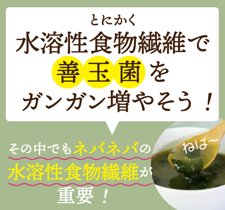 無添加 すごいねばねばグリーンポタージュダイエットスープ12食