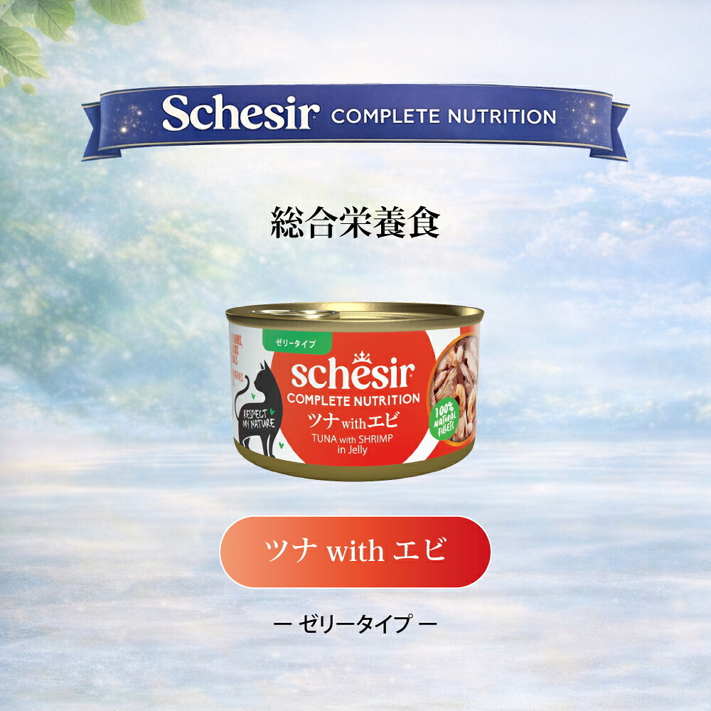 Schesir シシア ツナwithエビ 猫缶 キャットフード 85g×12個