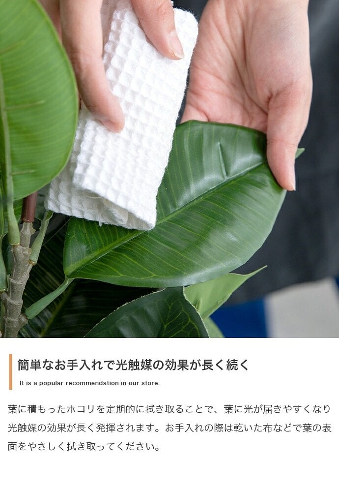 照明 ライト パキラ 観葉植物 人工 フェイクグリーン 室内 リビング オフィス 一人暮らし 緑 インテリア 光触媒 空気清浄 消臭 抗菌 防汚 ホルムアルデヒド分解 おしゃれ 高さ150cm 造花 植木 鉢植え 新築祝い 開店