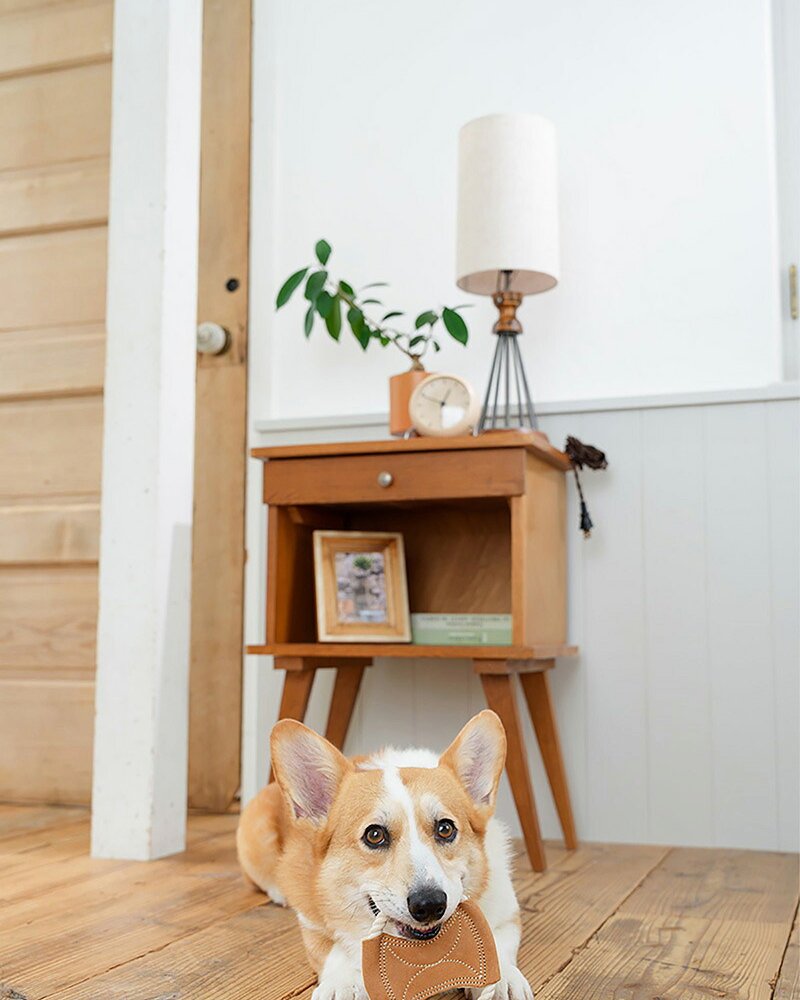 DADWAYPET ダッドウェイペット FAD ファッド レザー＆コットン・トイ ロープディスク 犬用おもちゃ