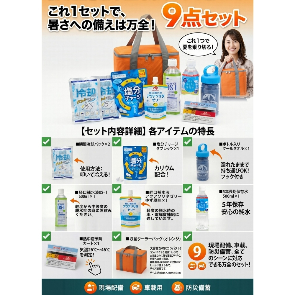 【レビュー特典あり】体調不良 差し入れ インフルエンザ 9点セット クーラーバッグ付き ギフト 熱中症対策グッズ 地震対策 災害 発熱 