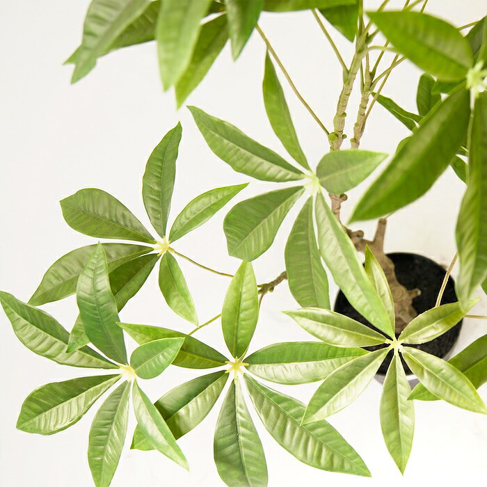 観葉植物 造花 パキラ BROWN 全高約90cm 中型 フェイクグリーン 本物そっくり おしゃれ インテリア 人工観葉植物 アーティフィシャルグリーン オフィス 店舗 ホテル 開店祝い 室内 発財樹 フェイク