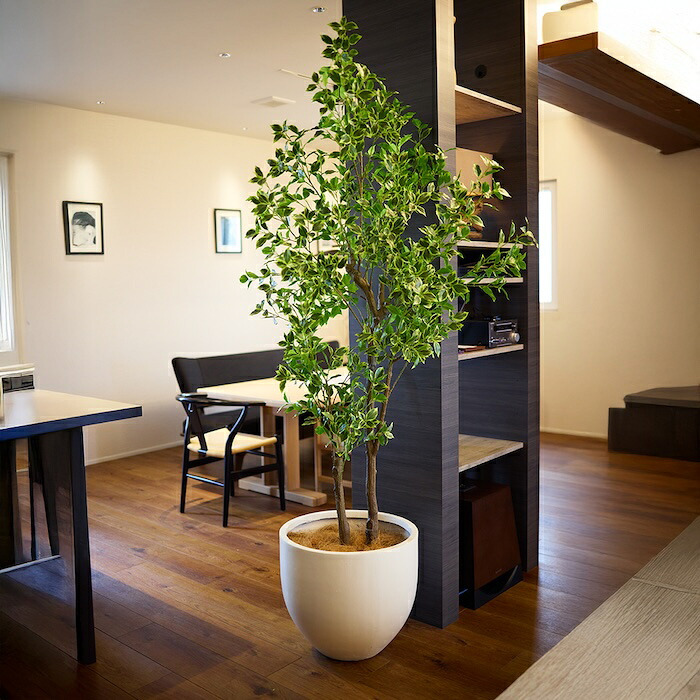 観葉植物 造花 斑入りベンジャミン BROWN 全高約210cm 大型 フェイクグリーン 高級 本物そっくり リアル おしゃれ 明るい インテリア 人工観葉植物 アーティフィシャルグリーン オフィス 店舗 ホテル 開店祝い 室内 リビング 玄関 風水 ベンジャミナ
