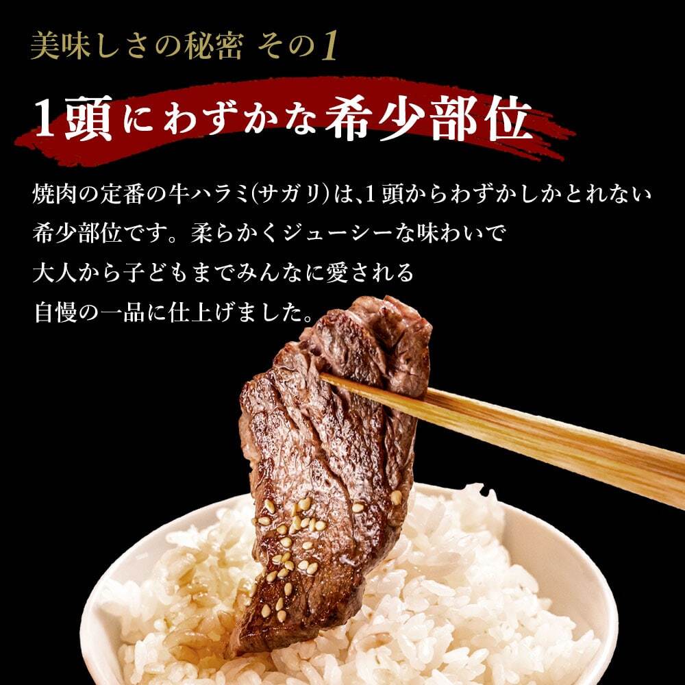 牛ハラミ(サガリ)秘伝の醤油たれ漬け300g×2～6袋