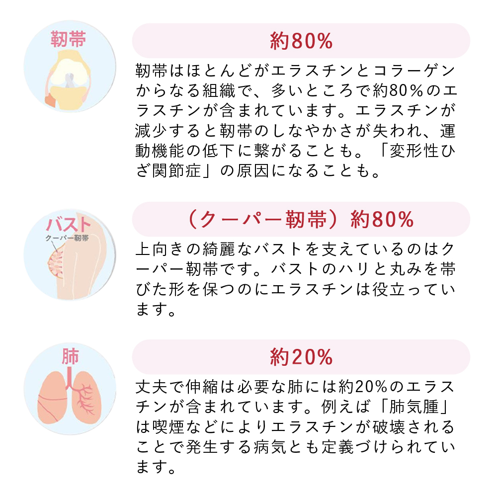 【パッケージリニューアル 2026年4月】季令（KIREI） エラスチンカプセル 100粒 高純度エラスチン 100％天然由来 コラーゲン エラスチン ヒアルロン酸 エイジングケア スキンケア キレイ 無着色 合成保存料・香料不使用 ACTLAND
