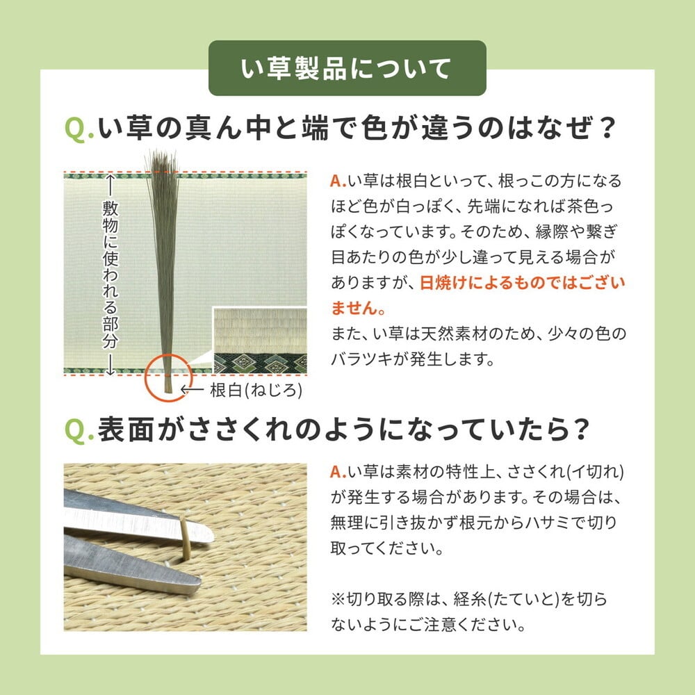 【6枚セット】 い草×樹脂素材 ハイブリッド 置き畳 綾瀬 約82×82×2.5cm 6枚入り 異素材 丈夫 半畳 縁なし フロア畳 ユニット畳 PP 滑り止め付き
