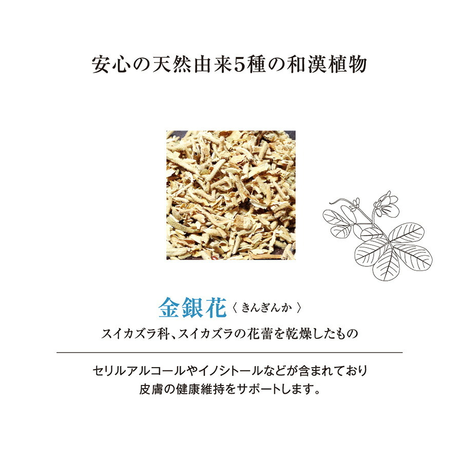 ALICIA アリシア SKIN LIKE A PRINCESS 犬猫用 サプリメント 45g