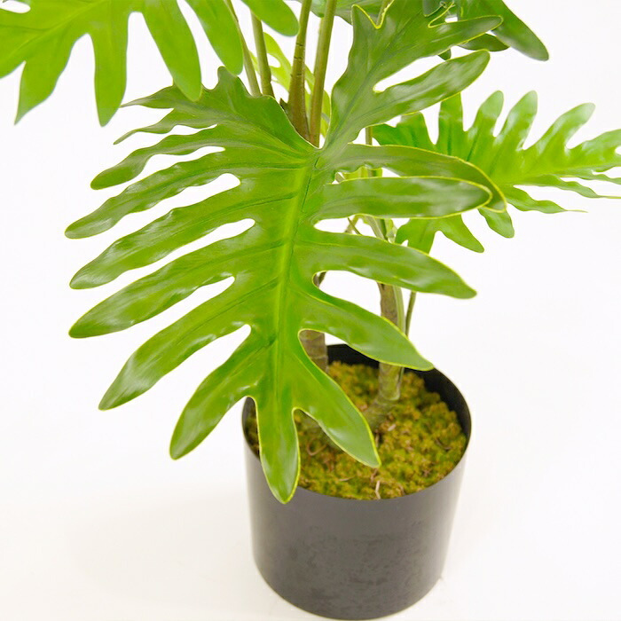 観葉植物 造花 セローム BROWN 全高約70cm 卓上・小型 フェイクグリーン 本物そっくり おしゃれ インテリア 人工観葉植物 アーティフィシャルグリーン オフィス 店舗 ホテル 開店祝い 室内 ミニ フィロデンドロン フェイク
