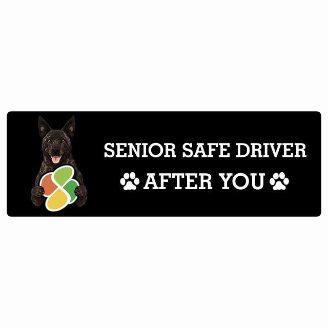 カーサイン 高齢者マーク SENIOR SAFE DRIVER 甲斐犬 ステッカー シール 長方形 15x5cm 肉球 日本製 車