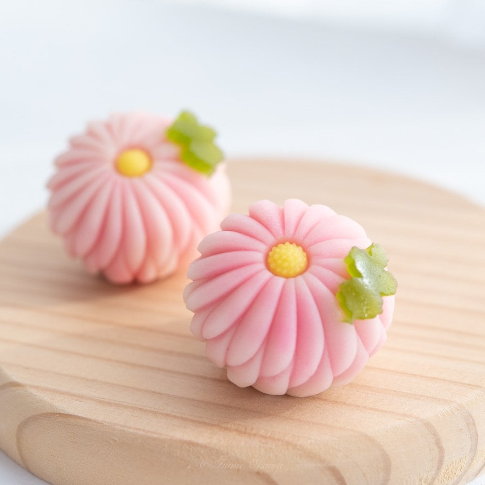 季節の上生菓子おまかせ6個セット【送料無料】 上生菓子 プレゼント 和菓子 ギフト お誕生日 御礼 御祝 贈答 お返し 練切 父の日 お中元