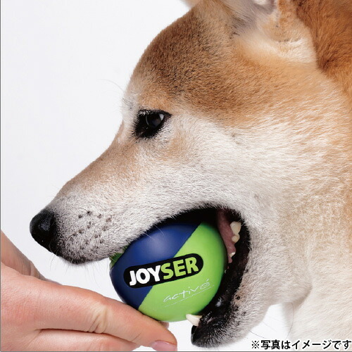 ジョイサー JOYSER ジョイサーボール 犬用おもちゃ ライム