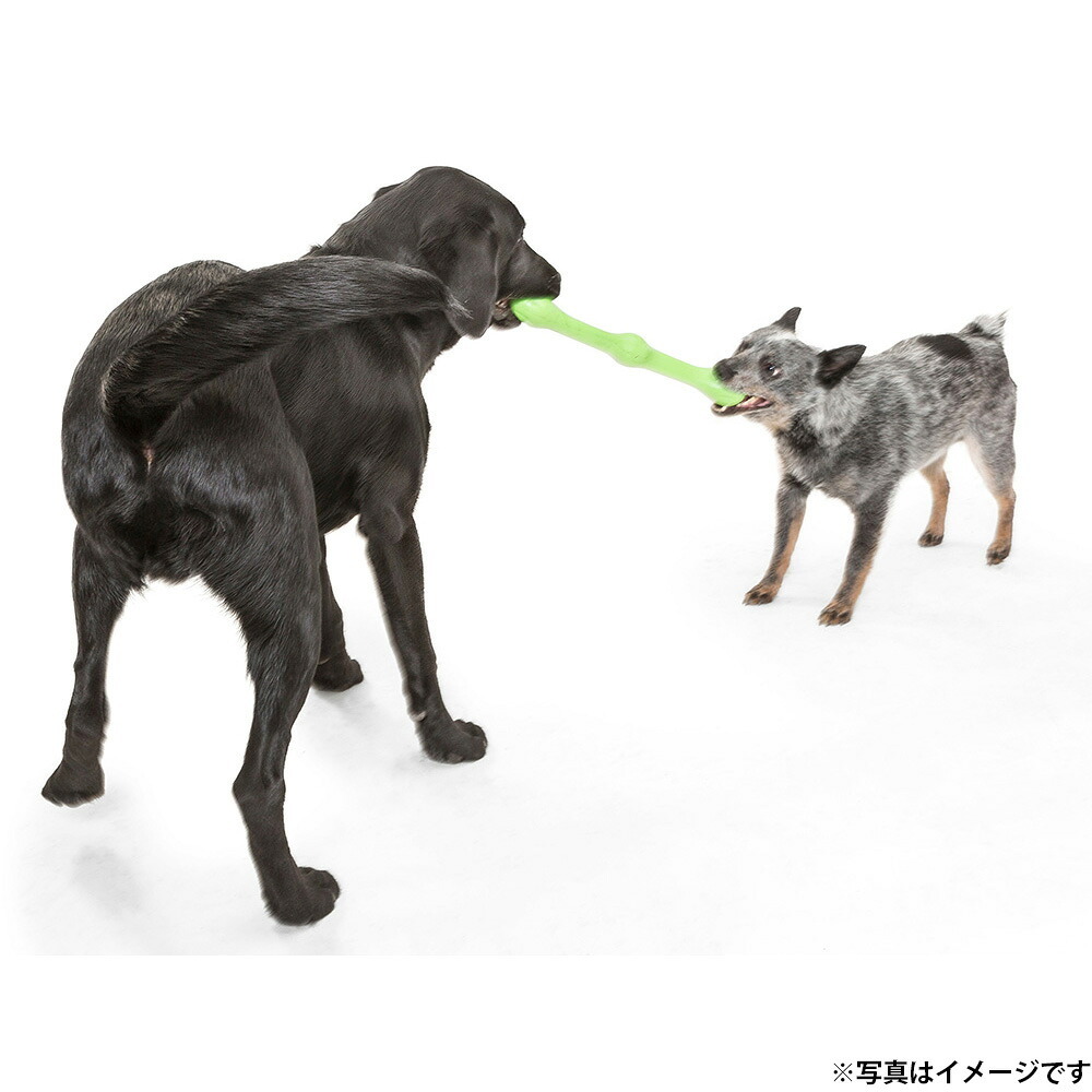 West Paw ウェストポウ ゾゴフレックス・エコー ズイッグ 犬用おもちゃ L ダンデライオンイエロー