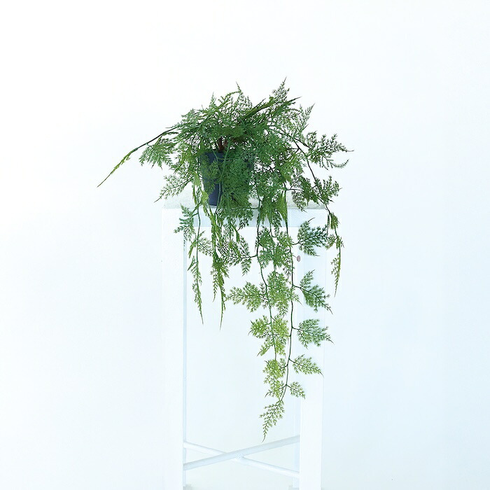 観葉植物 造花 アスパラガス BROWN 全長約63cm フェイクグリーン 高級 本物そっくり リアル おしゃれ 卓上 インテリア 人工観葉植物 アーティフィシャルグリーン 垂れ下がる ふわふわ オフィス 店舗 開店祝い 室内 リビング 玄関 トイレ 風水 アスパラガスファーン