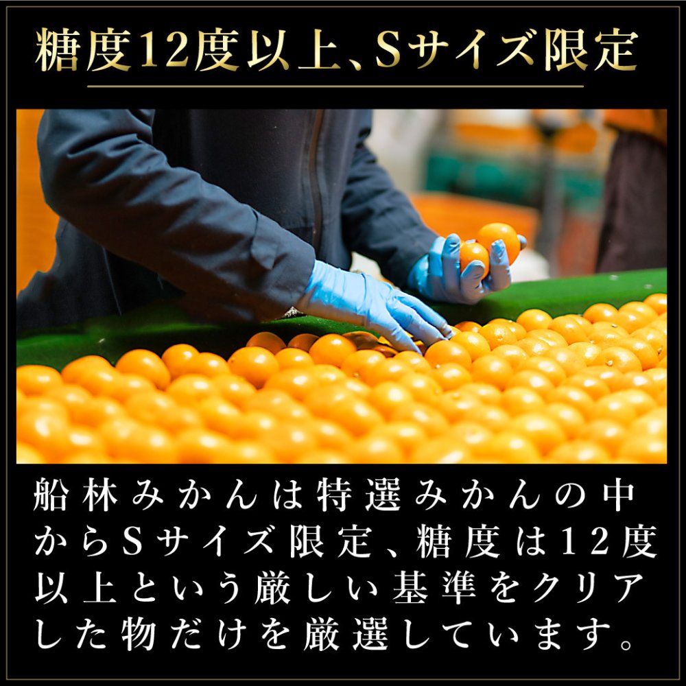 みかん 超特選 有田みかん 送料無料 小玉 高級 糖度12度以上 光センサー選果 船林 ふなりん S M 22～24個 約1.5kg 和歌山 手詰め ご当地 お贈答 結婚 出産 内祝い 誕生日プレゼント ギフト 誕生日 結婚祝い 出産祝い 内祝い ギフト
