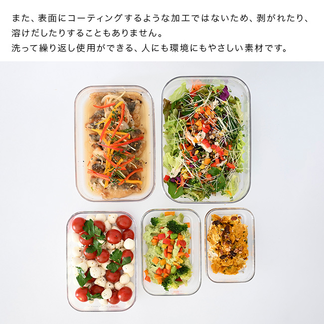 EMBALANCE エンバランス 保存容器 620ml クリアコンテナ S[保存容器 クリア プラスチック 透明 中身が見える 保存ケース 薄型 容器 日本製 おしゃれ 弁当箱 ご飯 保存 保存用 小分け 小型 ミニ フードコンテナ BPAフリー 四角]