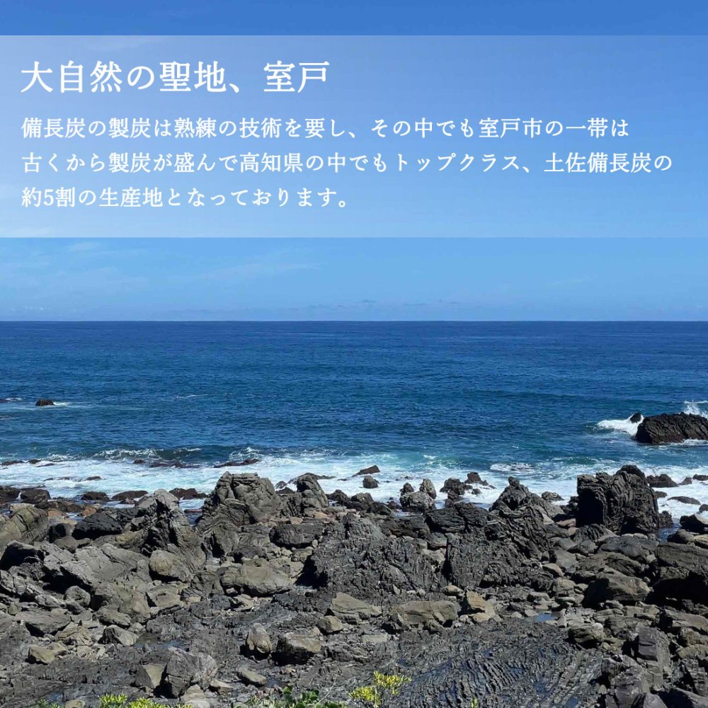 土佐備長炭 炭粒 1～2mm 3.5kg 粒状 備長炭 ふるい掛け 洗浄済み 炭チップ 粒状炭 炭つぶ 高知産 室戸 高級炭 高知県産 国産 高級訳あり粒炭 ウバメガシ 樫 土壌改良 ガーデニング 家庭菜園 消臭 除湿 水質改善 ミネラル補給【送料無料】