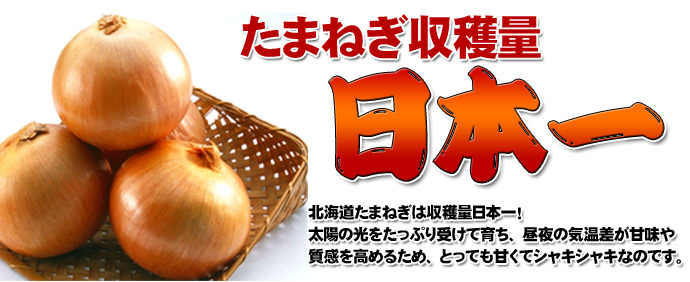 たまねぎ 送料無料 10kg 玉ねぎ 玉葱 タマネギ 北海道産 Lサイズ ※沖縄送料別途加算