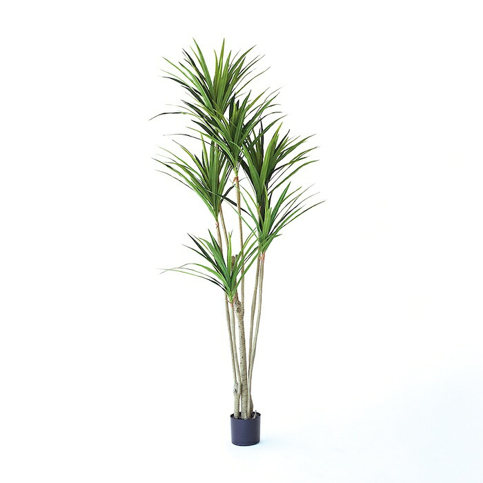 観葉植物 造花 ユッカ BROWN 全高約210cm 大型 フェイクグリーン 高級 本物そっくり リアル おしゃれ スタイリッシュ インテリア 人工観葉植物 アーティフィシャルグリーン モダン オフィス 店舗 ホテル 開店祝い 室内 リビング 玄関 風水 青年の木