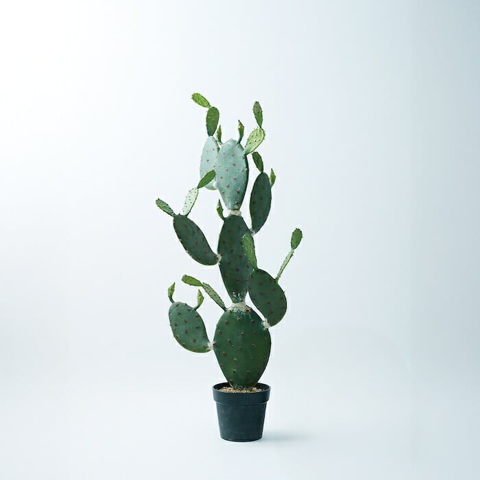 観葉植物 造花 ウチワサボテン BROWN 全高約117cm 中型 フェイクグリーン 本物そっくり おしゃれ インテリア 人工観葉植物 アーティフィシャルグリーン オフィス 店舗 ホテル 開店祝い 室内 サボテン オプンチア フェイク