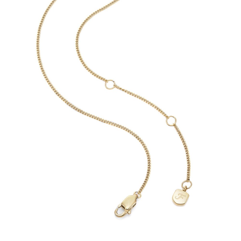 フォッシル FOSSIL Sutton アクセサリー ネックレス ペンダント やぎ座 レディース JF04847710