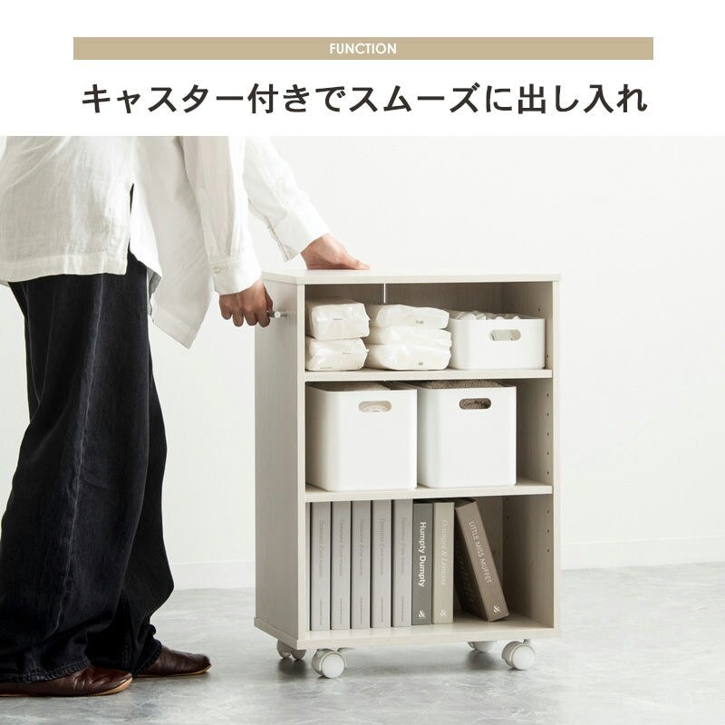 ラック 押入れ収納 奥行45cm 選べる幅3サイズ (19/25/38cm) IW-24 クローゼット収納 リビング収納 すき間収納 サニタリー収納 新生活