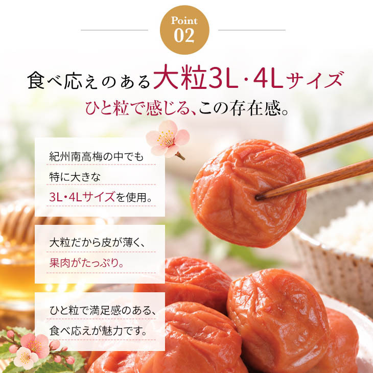梅干し 紀州南高梅 つぶれ梅 1.7kg 850g×2パック 塩分約3% 減塩 はちみつ梅 蜂蜜 大粒 3L 4L 訳あり 紀州 和歌山県産 お徳用 果肉たっぷり ご飯のお供 ギフト