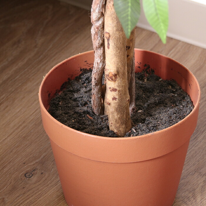 ガーデン エクステリア 観葉植物 フィカス ６９０ Ａ フェイクグリーン 植物 緑 グリーン 癒し 植木 インテリア ガーデニング おしゃれ カフェ リビング プランター ギフト プレゼント 贈り物 オフィス 会社 枯れない 簡単 手入れ 樹木 新生活