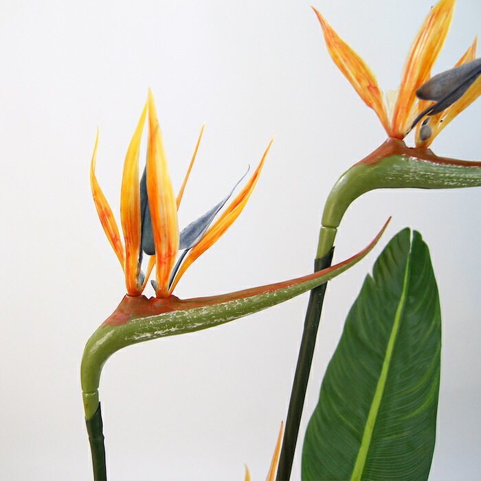 観葉植物 造花 ストレリチア BROWN 全高約126cm 大型 フェイクグリーン 本物そっくり おしゃれ インテリア 人工観葉植物 アーティフィシャルグリーン オフィス 店舗 ホテル 開店祝い 室内 極楽鳥花 オーガスタ フェイク