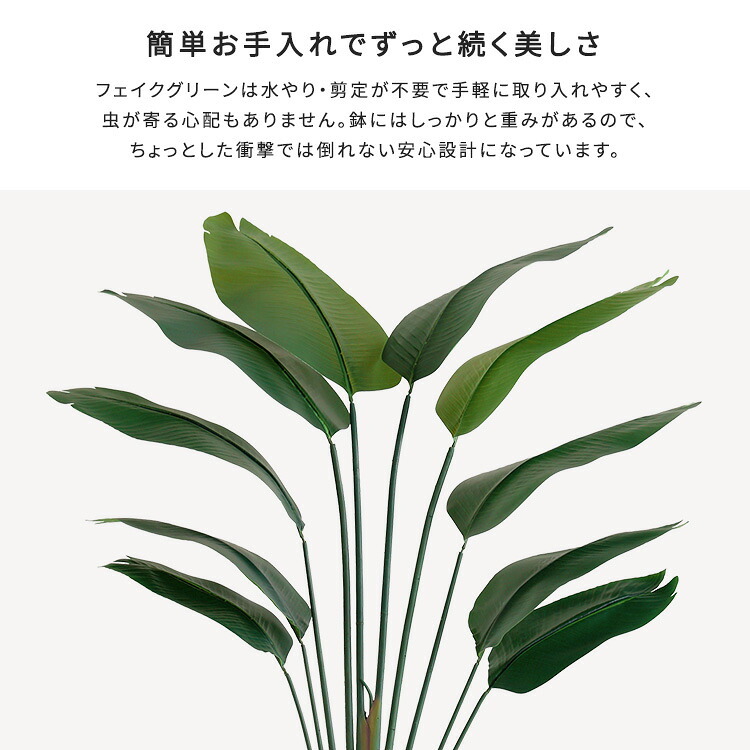 お手入れ簡単 フェイクグリーン ストレリチア Lサイズ(180cm) 新生活