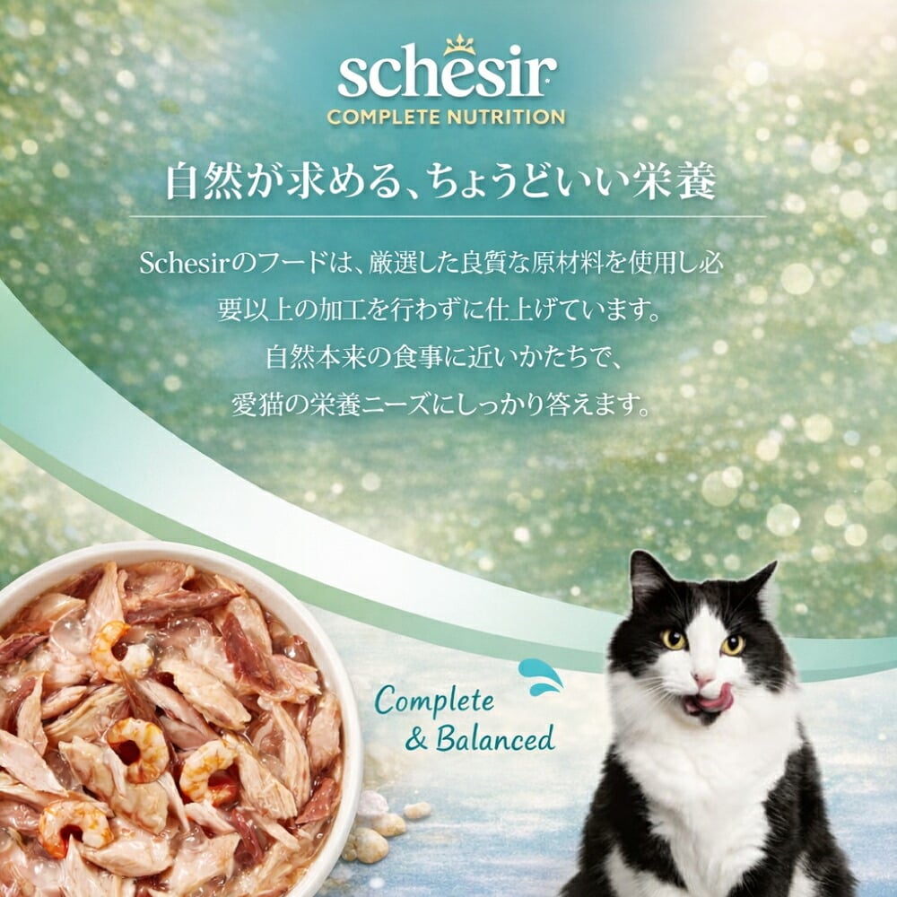 Schesir シシア ツナwithエビ 猫缶 キャットフード 85g×12個