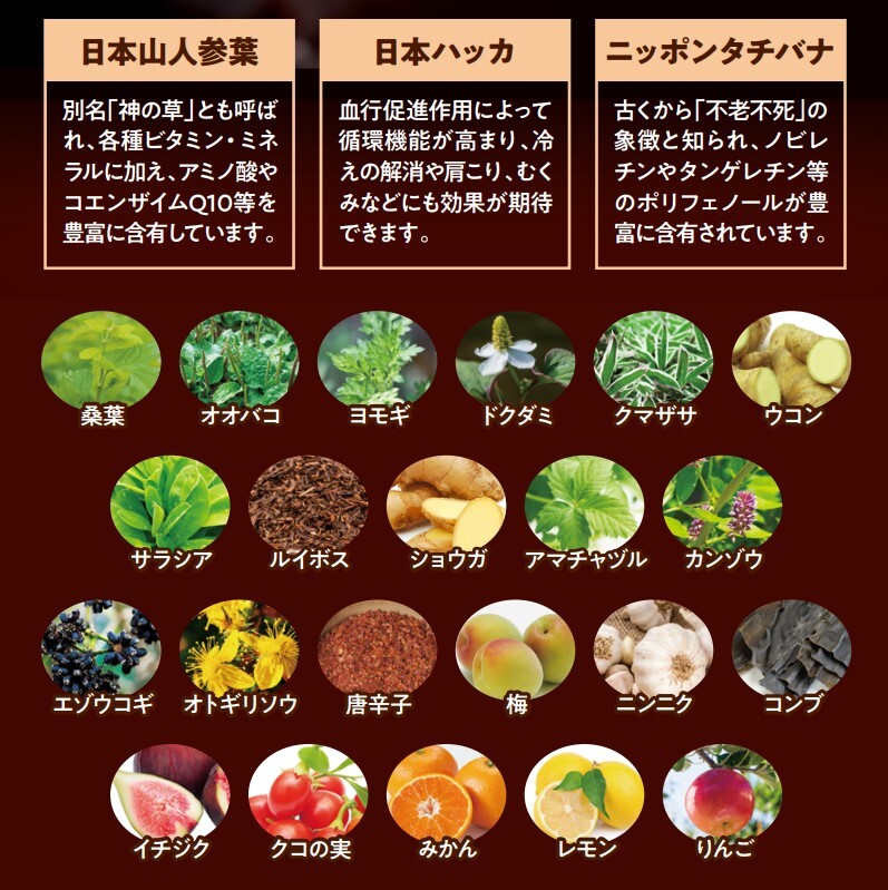 お得セット酵素女神本生濃縮酵素ペースト1箱+エニュースーパーザイムプラスフォー 2本　ENEW SUPERZYME PLUS 4  酵素ドリンク