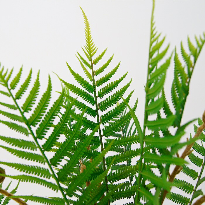 観葉植物 造花 ファーン BROWN 全高約74cm 卓上・小型 フェイクグリーン 本物そっくり おしゃれ インテリア 人工観葉植物 アーティフィシャルグリーン オフィス 店舗 ホテル 開店祝い 室内 ミニ シダ 観葉 フェイク