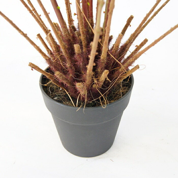 観葉植物 造花 ファーン BROWN 全高約74cm 卓上・小型 フェイクグリーン 本物そっくり おしゃれ インテリア 人工観葉植物 アーティフィシャルグリーン オフィス 店舗 ホテル 開店祝い 室内 ミニ シダ 観葉 フェイク