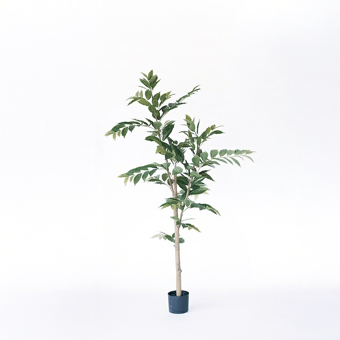 観葉植物 造花 コーヒーの木 BROWN 全高約170cm 大型 スリム フェイクグリーン 高級 本物そっくり リアル おしゃれ インテリア 人工観葉植物 アーティフィシャルグリーン カフェ オフィス 店舗 開店祝い 室内 リビング 玄関 寝室 風水 コーヒーノキ