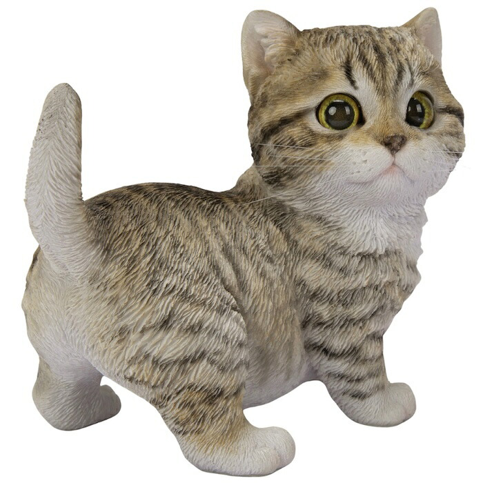 置物 猫 右向きマンチカン 茶黒 幅14cm woobia ウービア リアル かわいい おしゃれ 玄関 インテリア オブジェ ガーデン マンチカン キジトラ ねこ ネコ 動物 アニマル 癒し 棚 北欧 リビング プレゼント ギフト 新築祝い 猫好き