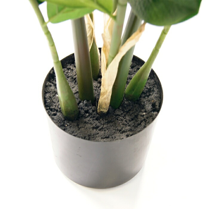 観葉植物 造花 ザミオクルカス BROWN 全高約70cm 卓上・小型 フェイクグリーン 本物そっくり おしゃれ インテリア 人工観葉植物 アーティフィシャルグリーン オフィス 店舗 ホテル 開店祝い 室内 ミニ ザミフォーリア 多肉 フェイク