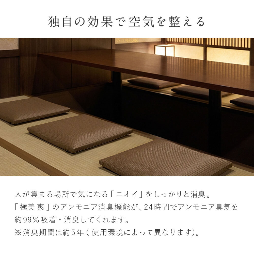 畳クッション 楽座 らくざ 日本製 約39×39×5cm 水拭きできる い草風 座布団 樹脂畳 極美爽 アンモニア消臭 耐久性 毛羽立ちにくい 高反発ウレタン 滑りにくい ダニ カビ対策 和室 洋室 リビング 飲食店 旅館 業務用 全4色 来客向け