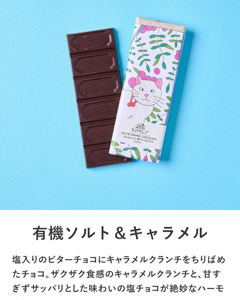 第3世界ショップ Artisan 板チョコ mnr-0748 チョコレートオーガニック フェアトレード/かわいい/おしゃれ 人気/ミルク ヘーゼルナッツ ソルト キャラメル ラズベリー/パッケージ/アート/バレンタイン プチギフト プレゼント/お菓子/有機JAS認証/