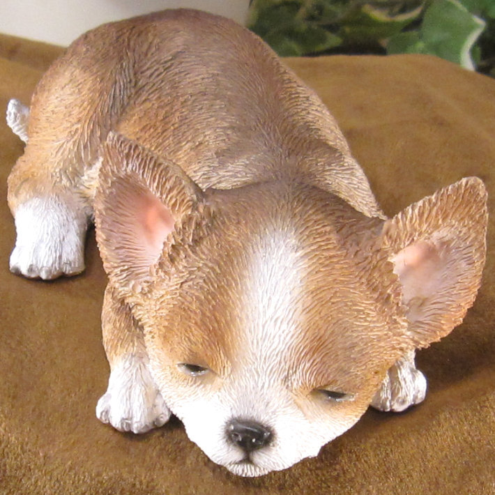 犬　置物 リアル　ウトウト・ねむねむ　チワワ　いぬ　動物オブジェ　ガーデン　オーナメント　店舗　カウンター　装飾　オブジェ　インテリア　玄関先　庭　犬好きさん人気ギフト　動物人気ギフト　クリスマスプレゼント　お誕生日祝い　母の日人気　父の日人気　敬老の日人気