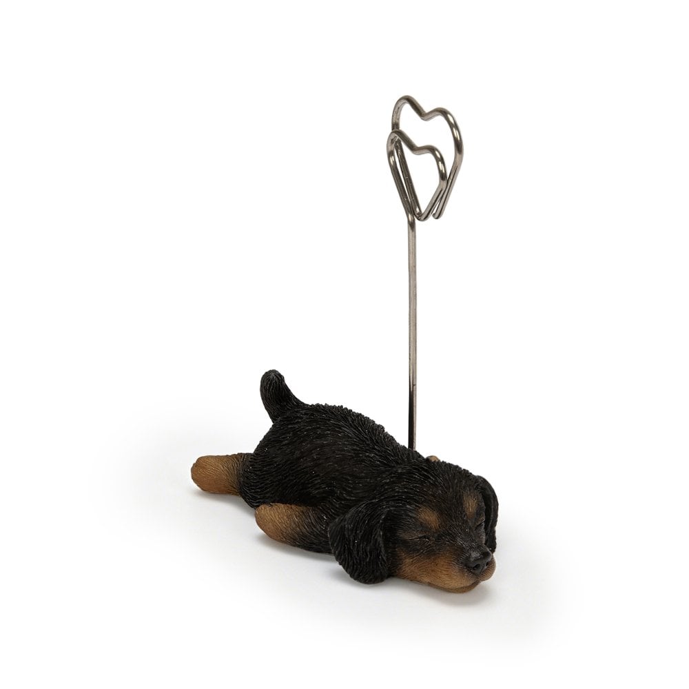 メモスタンド woobia ウービア ダックスフンド ブラック 子犬 リアル動物オーナメント 高さ8cm デスク 卓上 インテリア 誕生日 お礼 退職祝い プチギフト 犬好き ギフト プレゼント メモホルダー