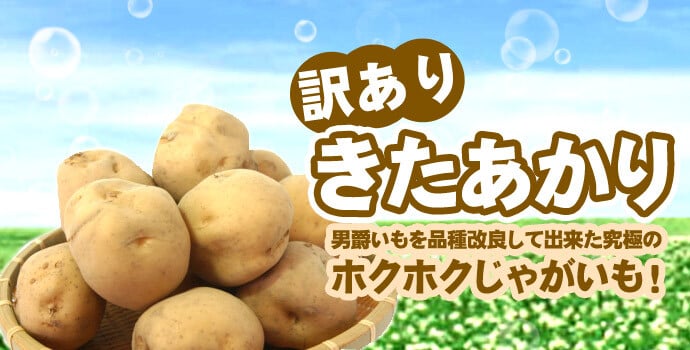 きたあかり 9.5-10kg 訳あり 北海道 じゃがいも S-Mサイズ 送料無料  ※沖縄は送料別途加算 キタアカリ