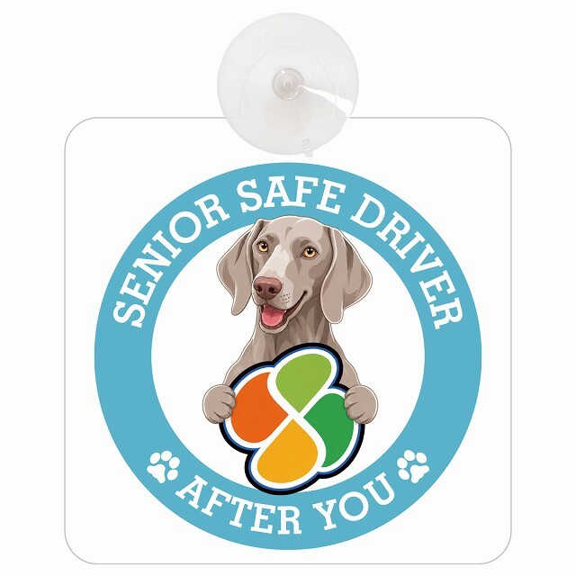 カーサイン 高齢者マーク SENIOR SAFE DRIVER ワイマラナー 車内用 吸盤タイプ 収れん火災防止タイプ 肉球 日本製 車 ステッカー