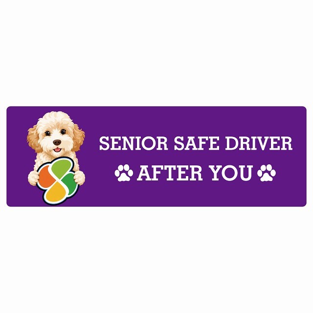 カーサイン 高齢者マーク SENIOR SAFE DRIVER ゴールデンドゥードル ステッカー シール 長方形 20x6.7cm 肉球 日本製 車