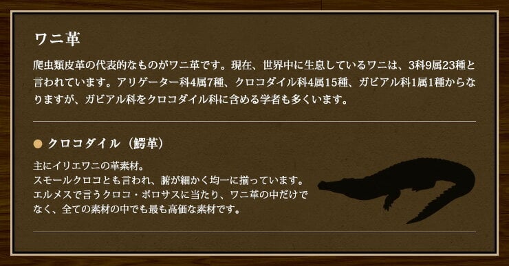 ベルト メンズ 本革 日本製 大きいサイズ クロコダイル ビジネス 爬虫類 オートロック 穴なし 無調整 レザーベルト クロコダイルベルト 革の宝石 革のダイヤモンド 本革ビジネス 紳士ベルト 日本製ベルト プレゼント cb-6