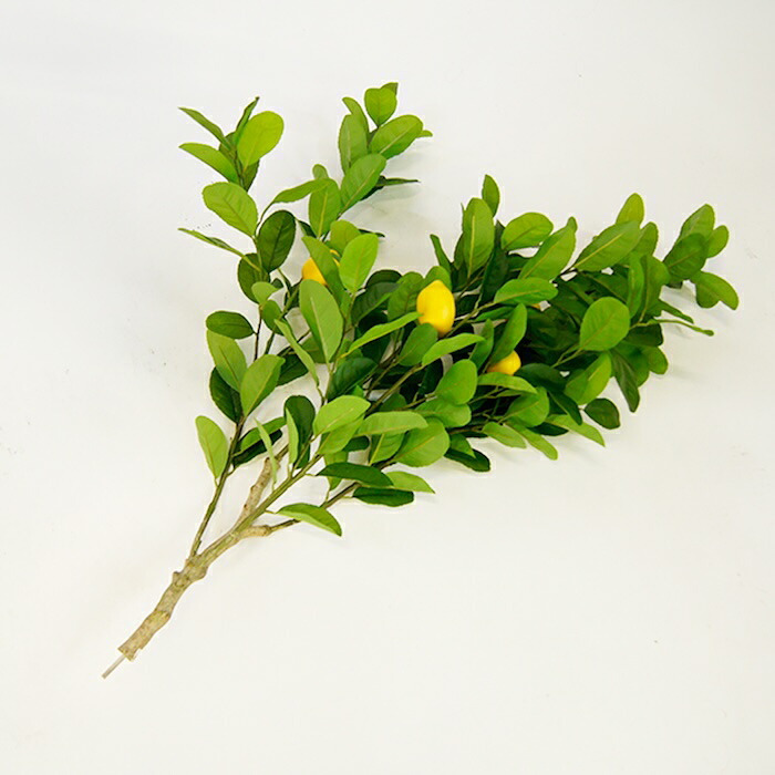 観葉植物 造花 レモンの木 BROWN 全高約220cm 大型 実付き フェイクグリーン 高級 本物そっくり リアル おしゃれ インテリア 人工観葉植物 アーティフィシャルグリーン シンボルツリー オフィス 店舗 カフェ 開店祝い 室内 リビング 玄関 風水 果樹 レモンツリー