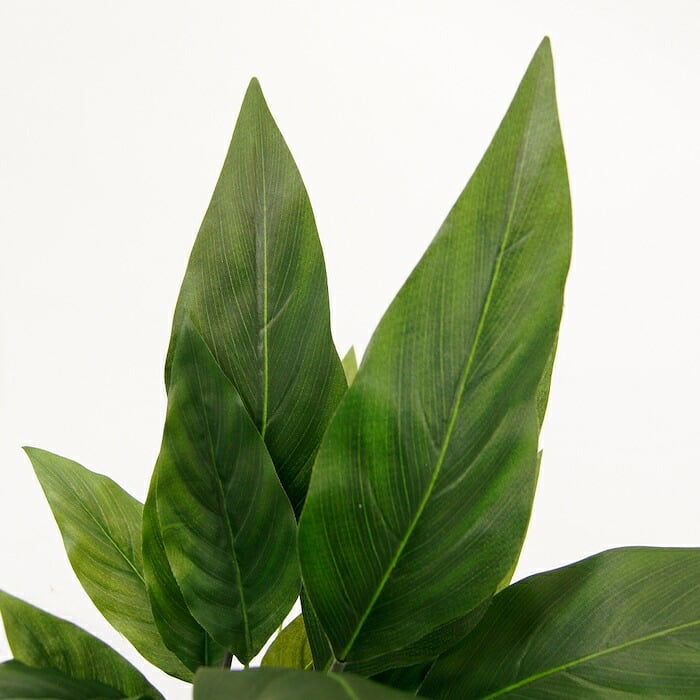 観葉植物 造花 スパティフィラム BROWN 全高約60cm 卓上・小型 フェイクグリーン 本物そっくり おしゃれ インテリア 人工観葉植物 アーティフィシャルグリーン オフィス 店舗 ホテル 開店祝い 室内 ミニ スパティフィルム フェイク
