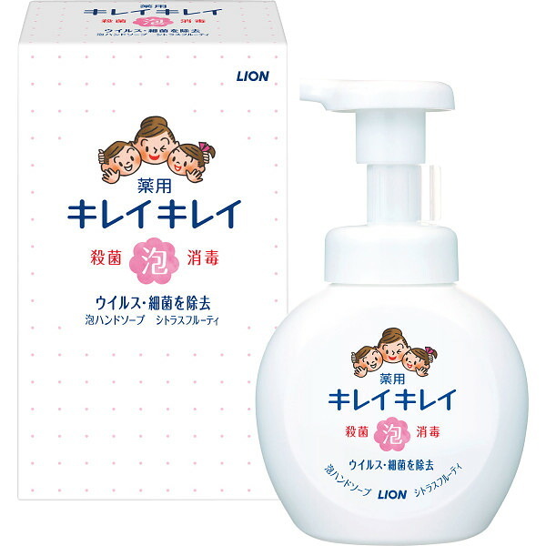 【直送】ライオン キレイキレイ [26-0494-047] 薬用泡ハンドソープ 箱入 250ml 本体 シトラスフルーティーの香り 殺菌 消毒 手洗い 泡立ていらず 抗菌ポンプヘッド 防災 ノベルティ 景品 粗品 プレゼント ギフト 贈り物