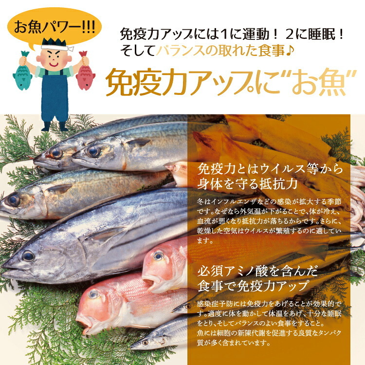 若狭カレイ 一塩干し ミニサイズ 3尾 3セット 6セット カレイ 一夜干し 保存料不使用 干物 天神講 天神様