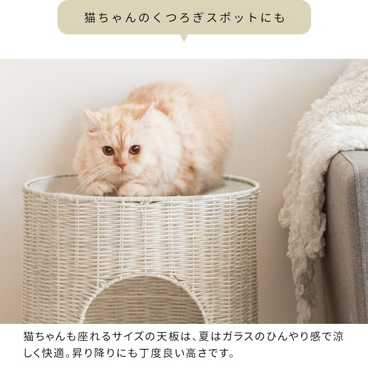 サイドテーブル 猫ちぐら Pienet(ピエネ) ラタン キャットハウス ペット用品 ねこ ガラステーブル ペットハウス キャットラック 猫用ちぐら 猫グッズ 猫用家具 ペット家具 サイド ソファサイド ナイトテーブル 樹脂製ラタン 沖縄 新築祝い 引越し祝い